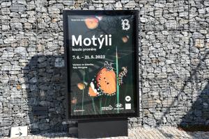 V botanické zahradě v Praze v Troji létají tisíce exotických motýlů. Zkrátka kouzlo proměny