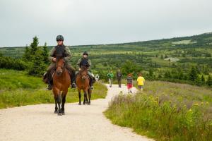 Strážci KRNAPu na koních vyjíždějí v Krkonoších i letos, už počtrnácté