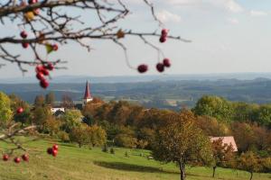 Po stopách Karoliny Světlé: vydejte se do přírody naučnou stezkou ve Světlé pod Ještědem