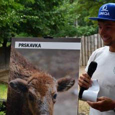 Prskavka ... docela dobré jméno pro zubří samičku