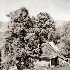 Bucharova stezka v Krkonoších v roce 1931
