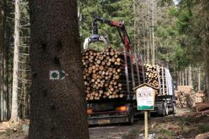 Otevírá se Medvědí stezka na Stožecku, uzavírka na Schwarzenberském kanále trvá