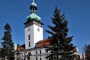 Zámek ve Vsetíně vystaví velkoformátové malby zlínského rodáka Patrika Hábla