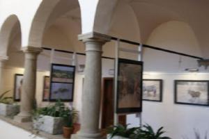 Muzeum Vysočiny Jihlava zve na výstavu s názvem VOYAGE, VOYAGE