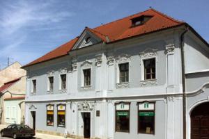 Muzeum Vysočiny zve na přednášku NEJEN Z TŘEŠTĚ DO RAF