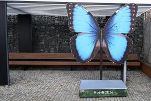 Skleník v botanické zahradě Fata Morgana se proměnil v tropický motýlí ráj s výstavou Motýli: Umění přežít